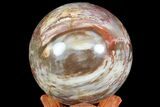 Colorful Petrified Wood Sphere - Madagascar #67744-2